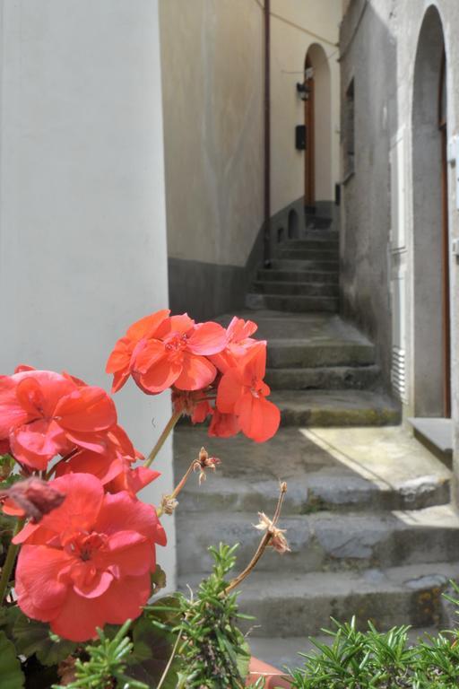 Bed & Breakfast Casa Falcone