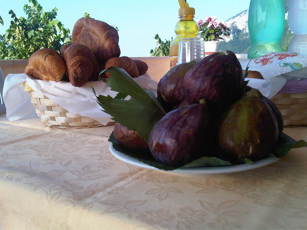 Bed & Breakfast Casa Falcone